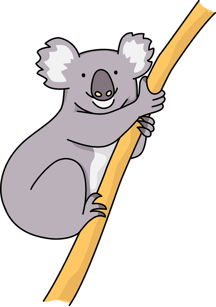 Playful Koala Bear in a Tree PNG
