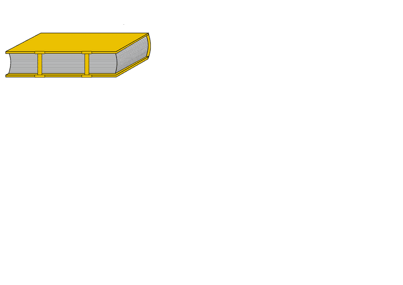 The Golden Pages A Book of Wonders PNG