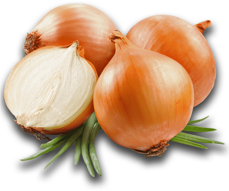 Deliciously Crispy Onion Rings Delight PNG