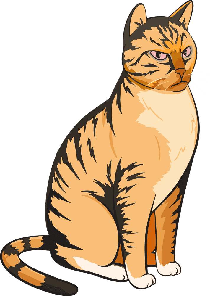 Majestic Cat with Striking Features PNG