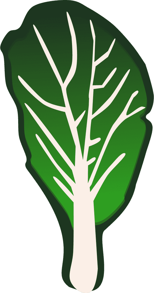 Vibrant Vegetable Garden of Fresh Greens PNG