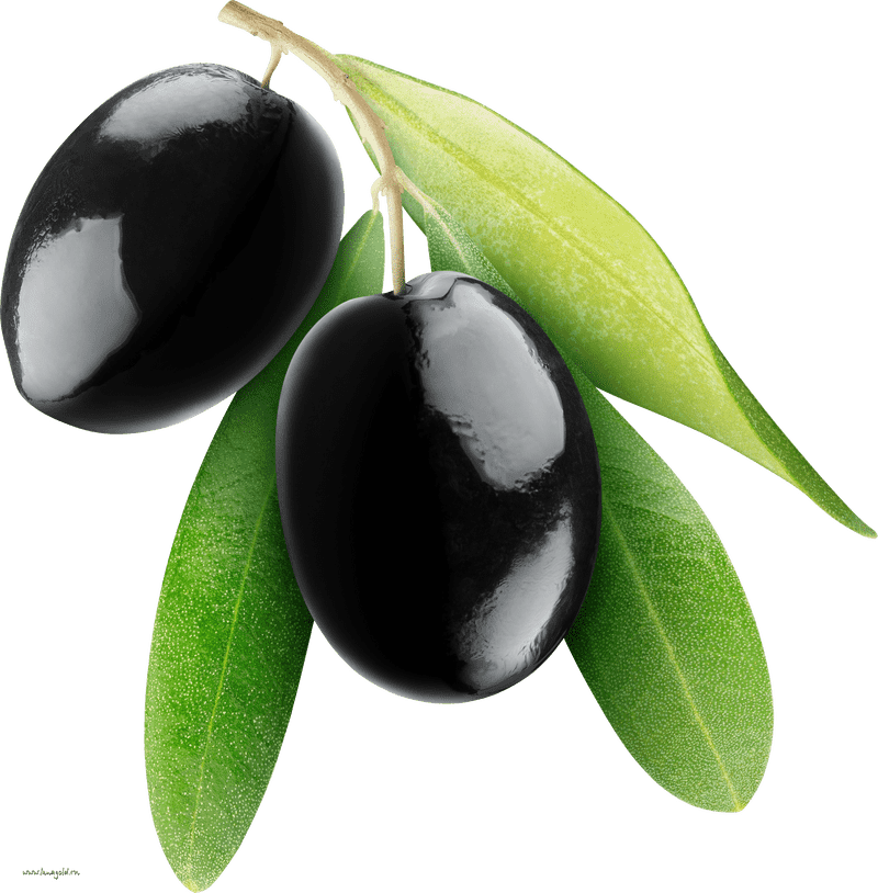 Olive Oil Nature's Liquid Gold PNG