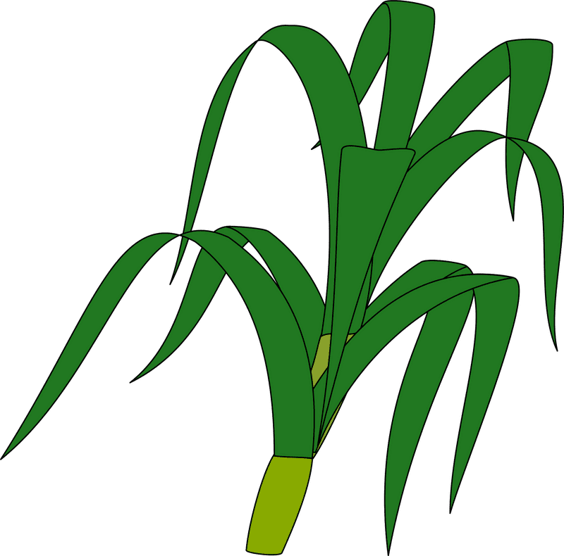 Lush Green Grass Swaying in the Breeze PNG