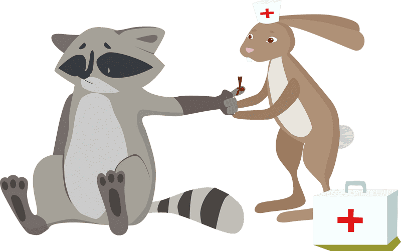 Doctor Rabbit's Care for the Sad Raccoon PNG
