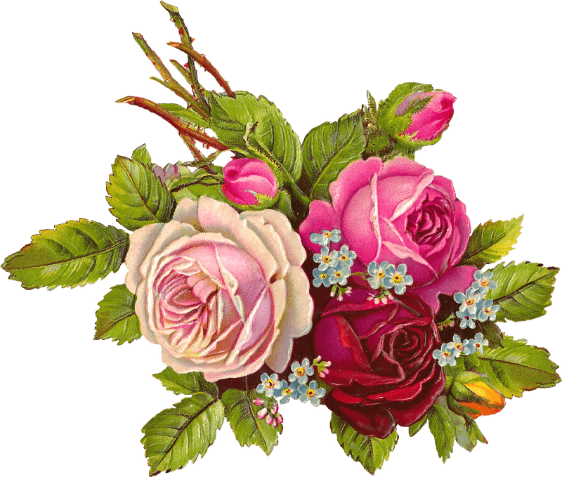 Digital Nomad's Floral Journey PNG