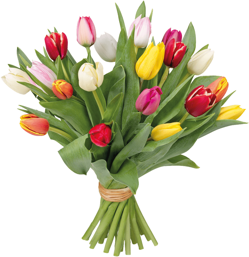 Vibrant Tulip Flower Bouquet Delight PNG
