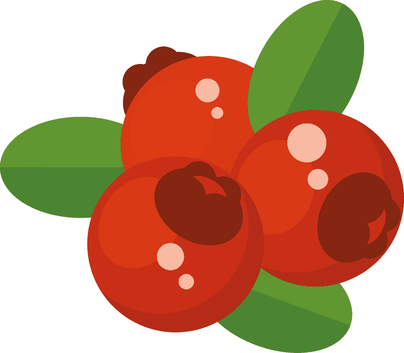 Cranberry Delight Nature's Juicy Treasure PNG