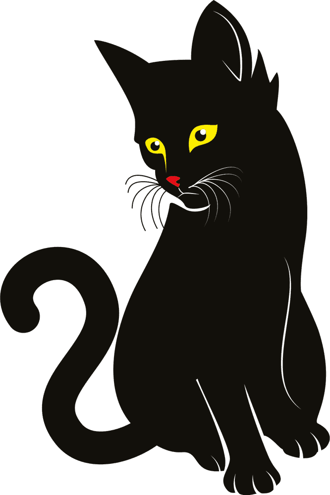 Mystical Midnight Cat with Enchanting Eyes PNG