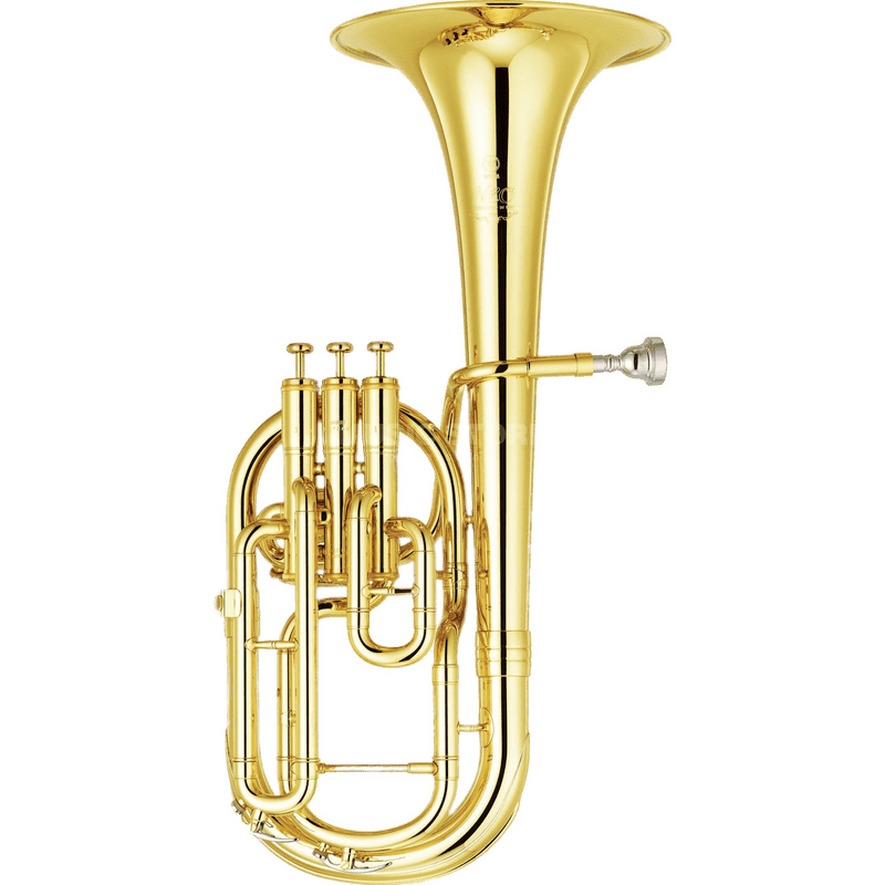 Celebratory Sound with a Party Horn Twist PNG