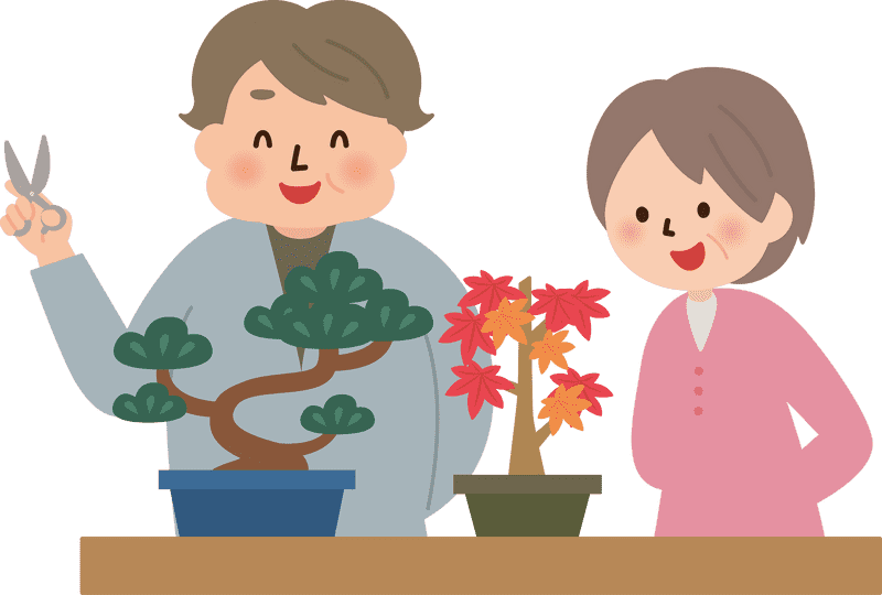 Joyful Moments with Bonsai Trees PNG