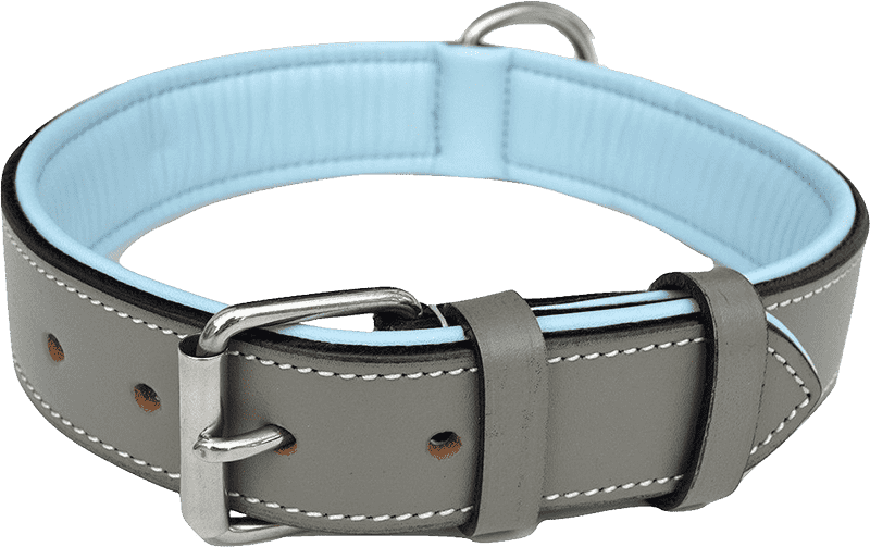 Stylish Durable Pet Collar for Everyday Use PNG