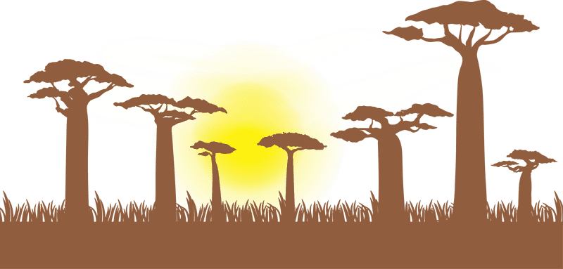 Sunrise Over Serene Baobab Silhouettes PNG