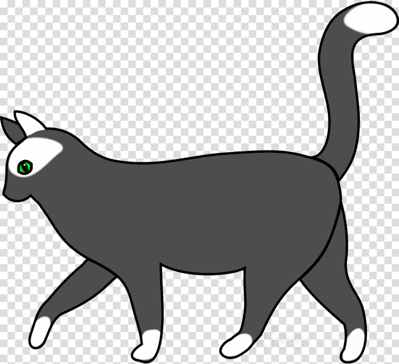 Curious Cat With Enchanting Green Eyes PNG