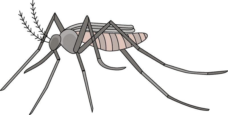 Ultimate Mosquito Repellent Solution for Summer PNG