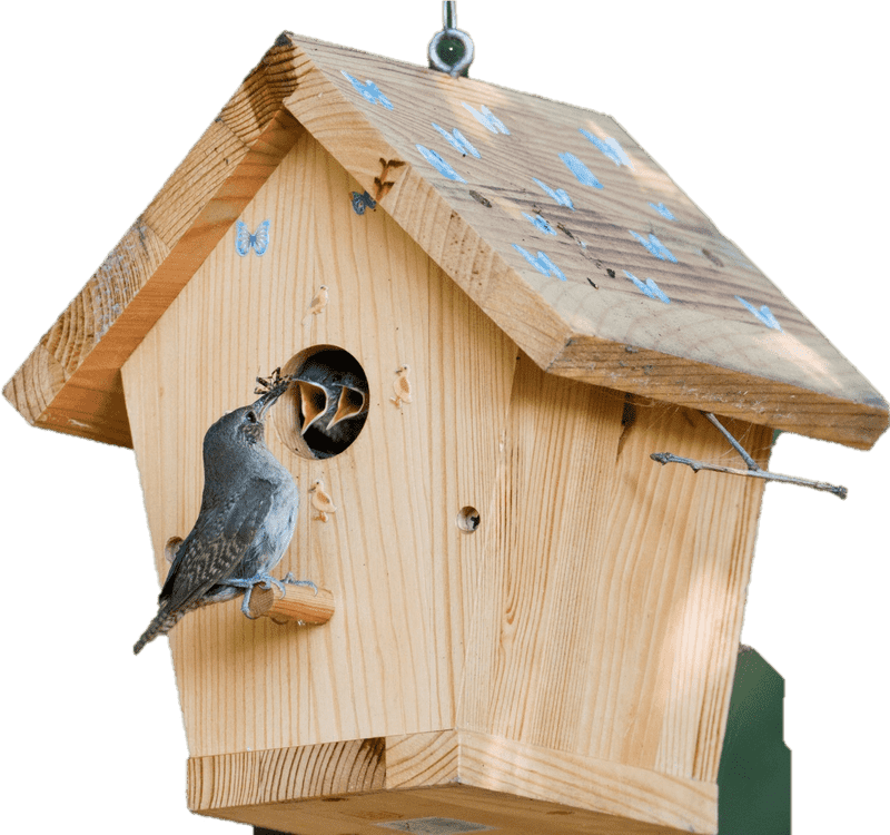 Charming Birdhouse with a Curious Bird PNG
