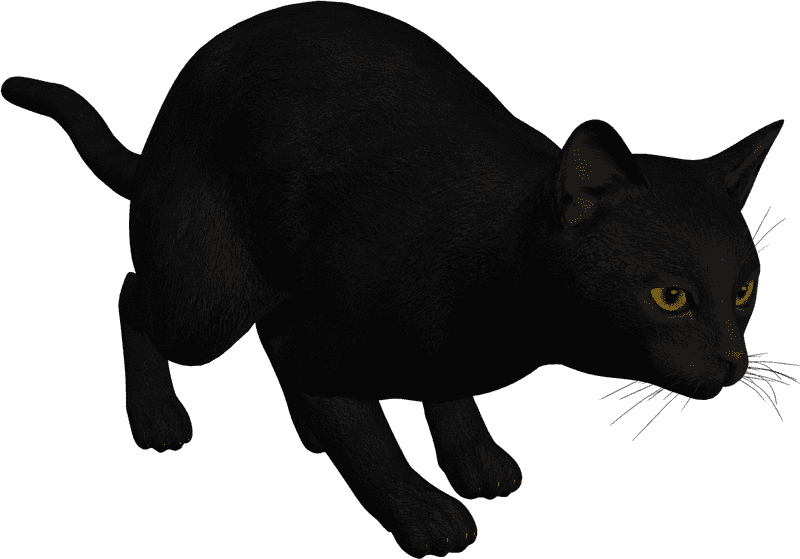 Stealthy Shadow Cat on the Prowl PNG