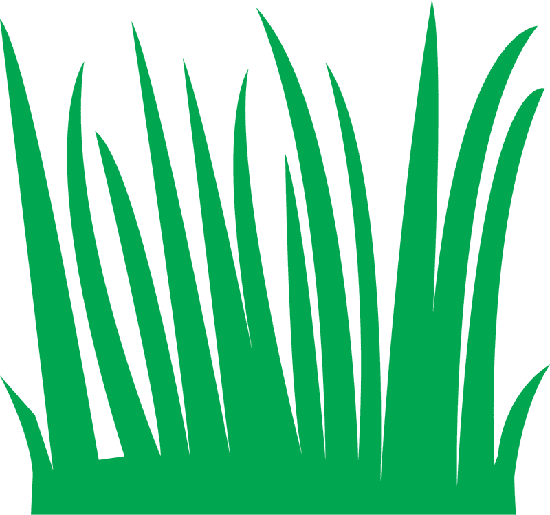 Vibrant Green Grass Harmony PNG