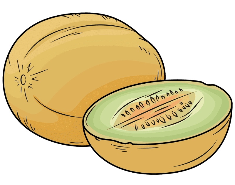 Fresh Melon Slice Delight PNG