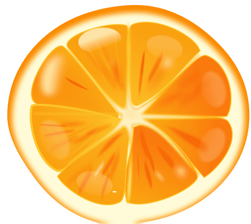 Vibrant Citrus Slice Delight PNG