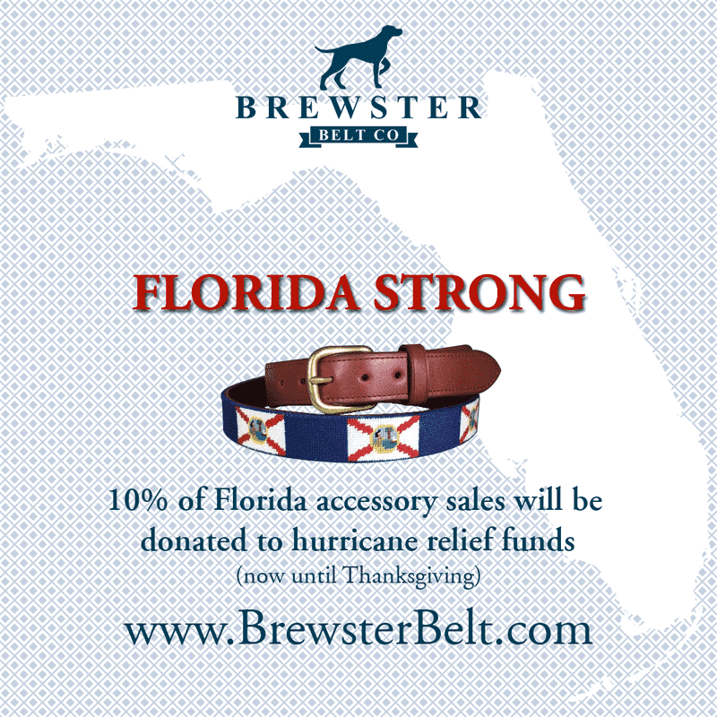 Florida Strong Pet Collar for Hurricane Relief PNG
