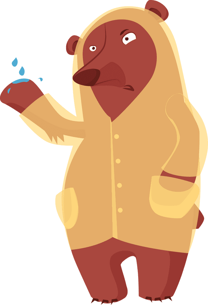 Grumpy Bear in a Yellow Raincoat PNG