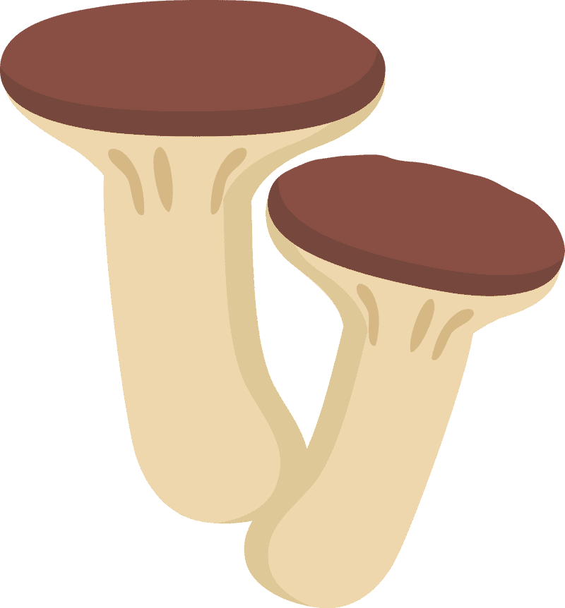 Savory Mushroom Soup Delight PNG