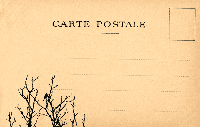 Vintage Postcard with Nature's Touch PNG