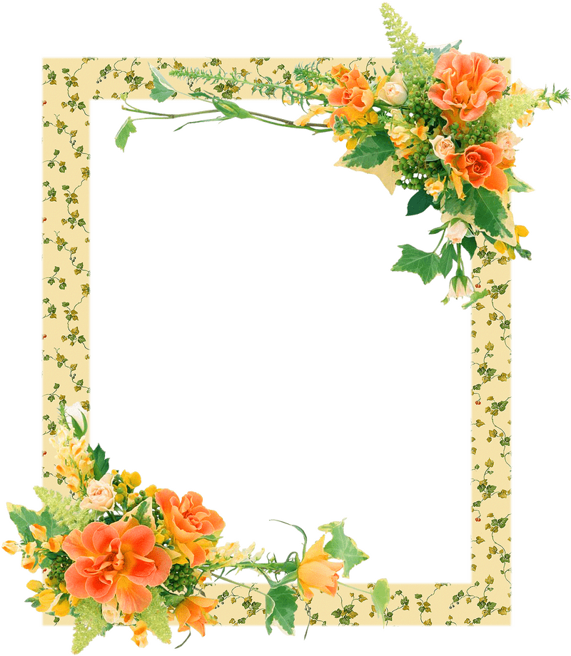 Elegant Floral Frame with Vibrant Blooms PNG