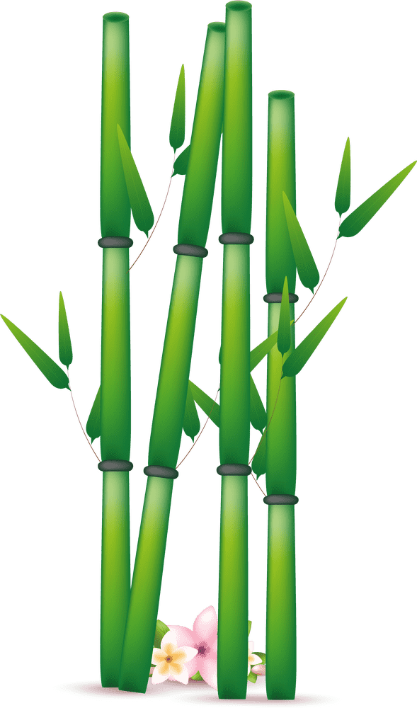 Serenity in the Bamboo Forest Garden PNG