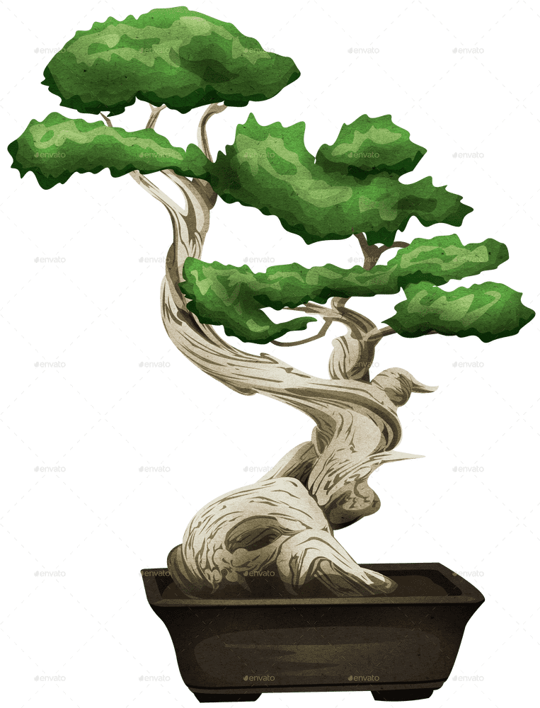Whimsical Bonsai Tree of Serenity PNG