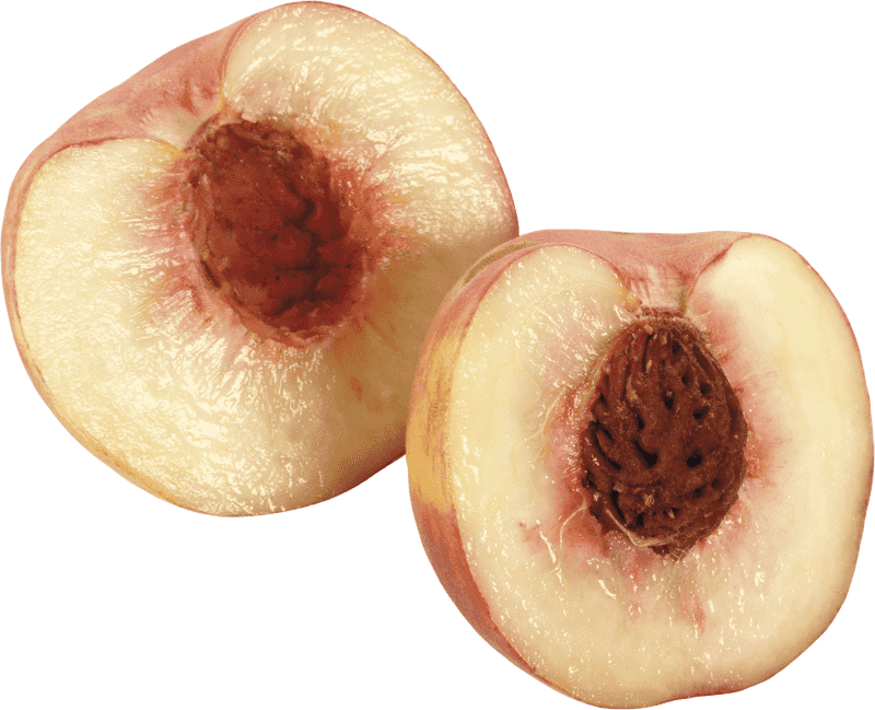 Peach Blossom Delight Sweetness Within PNG