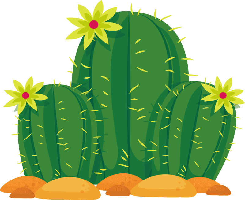 Vibrant Desert Oasis with Cacti and Blooms PNG