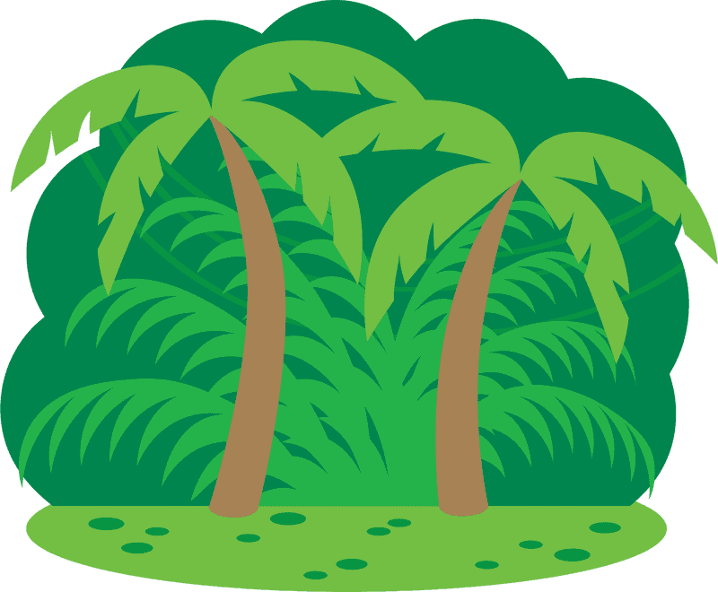 Jungle Trail Pathway Through Lush Greenery PNG