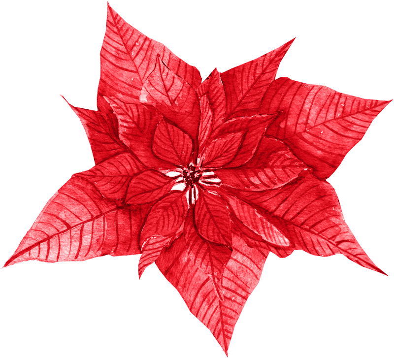 Crimson Leaf of Joy PNG