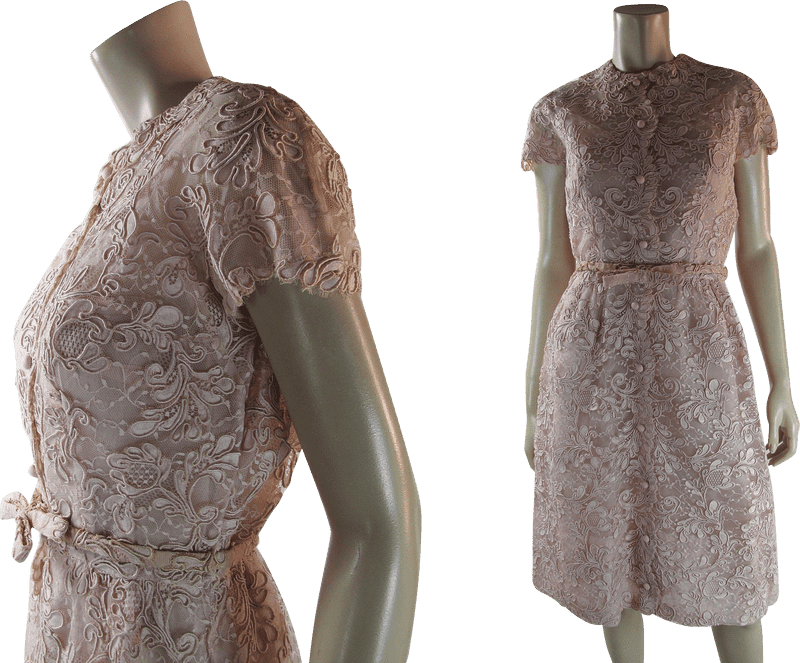 Elegant Floral Lace Cloth Dress PNG