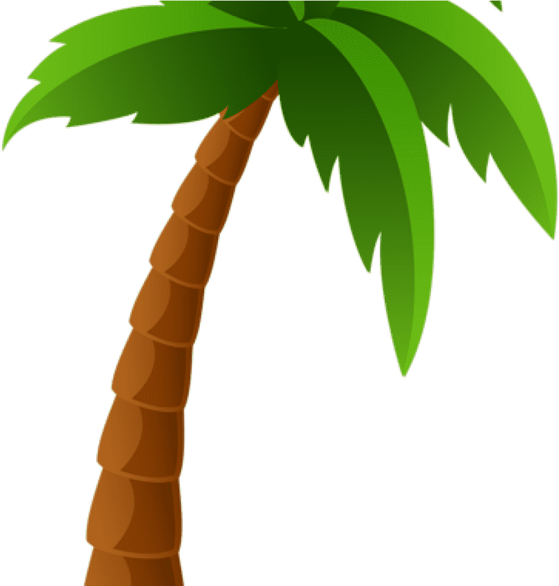 Sunny Serenity The Iconic Palm Tree PNG