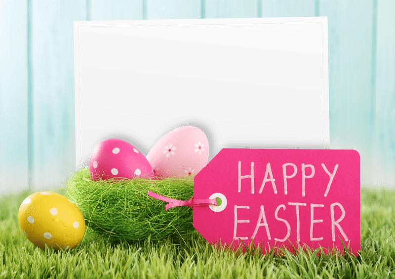 Festive Grass Nest with Easter Eggs PNG