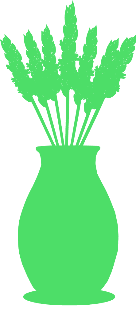 Vase of Vibrant Green Wheat Stalks PNG