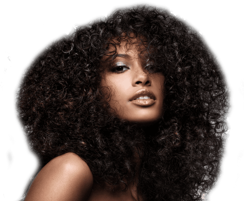 Ultimate Hair Dryer for Perfect Curls PNG