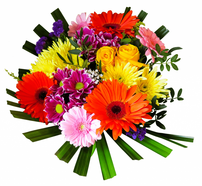 Vibrant Celebration of Colorful Flowers PNG