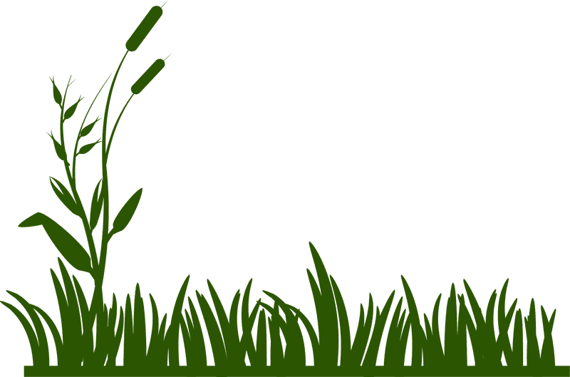 Whispers of the Grassland PNG