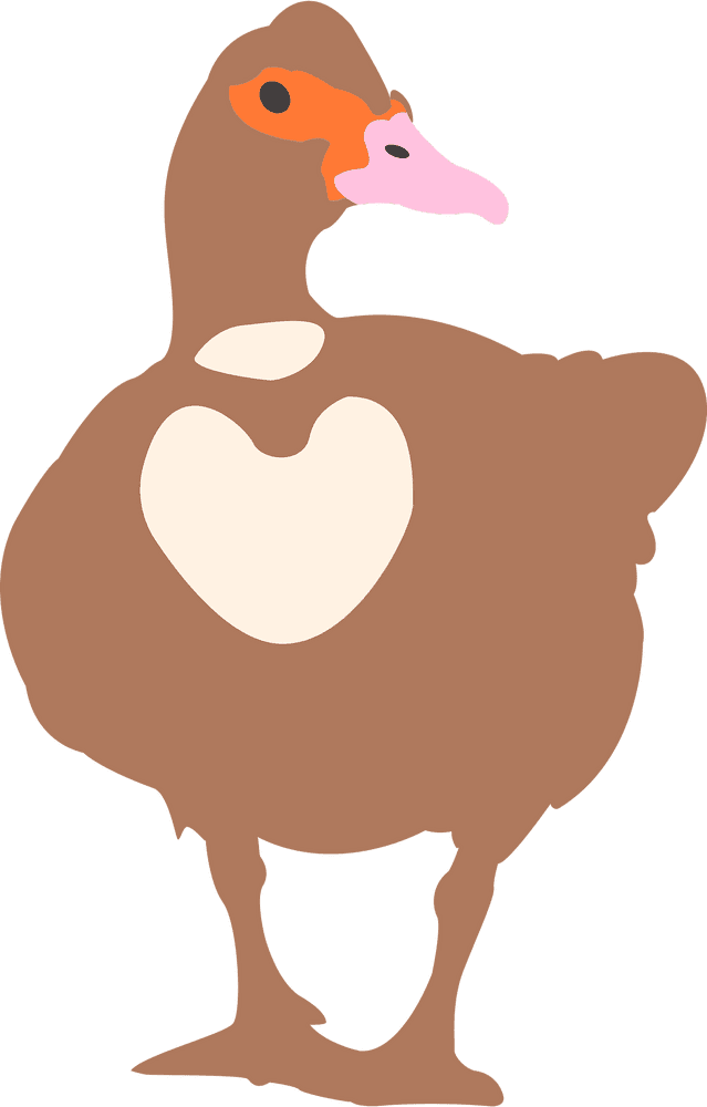 Whimsical Rubber Duck Delight PNG