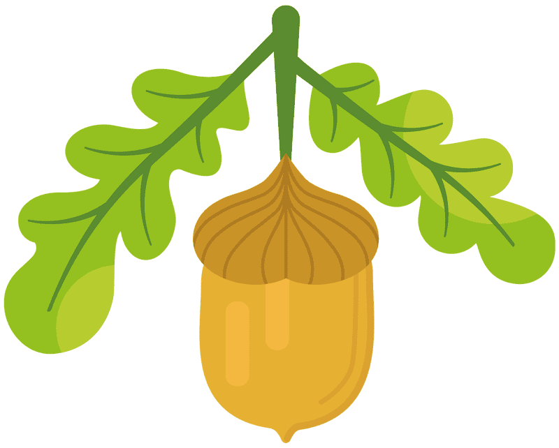 Golden Acorn Beneath Lush Green Leaves PNG