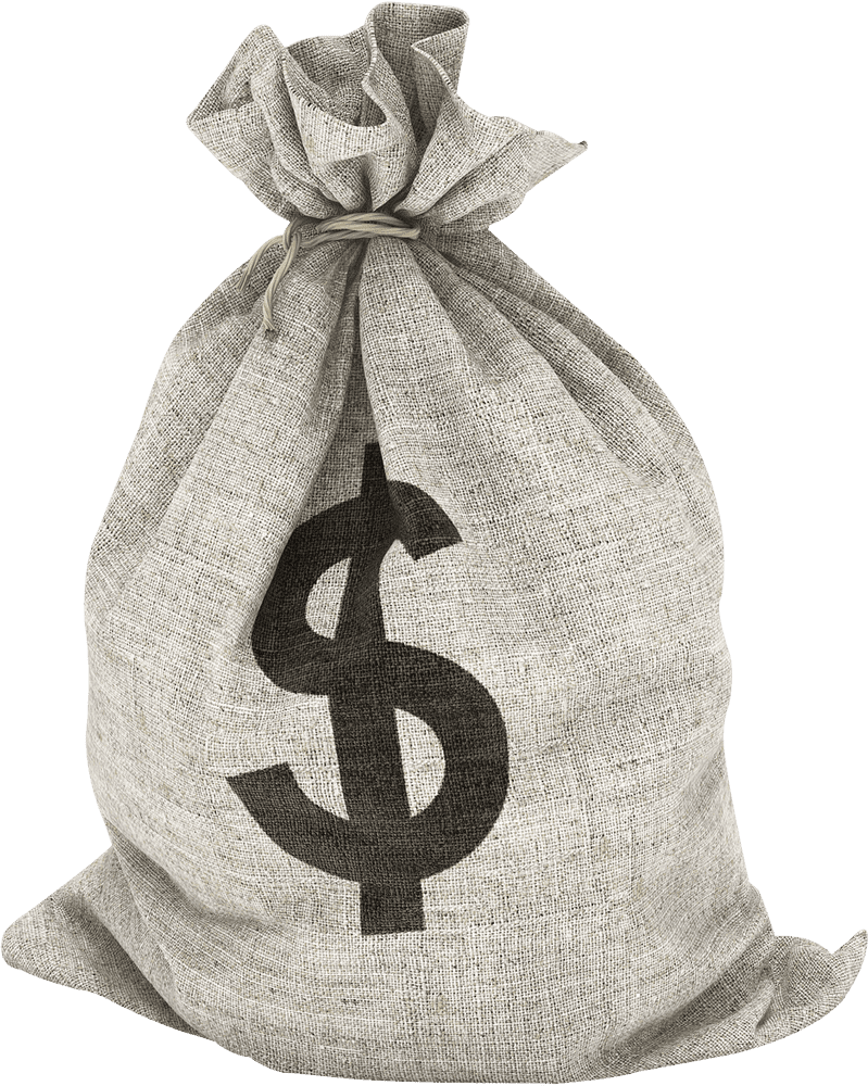 Shopping Bag of Wealth and Possibilities PNG