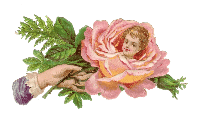 Whimsical Blossom A Flower's Embrace PNG