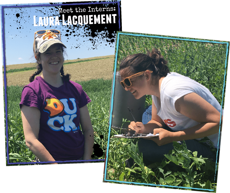 Exploring the Vegetable Garden with Interns PNG