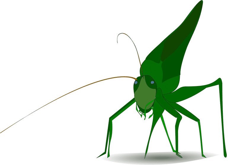 Green Insect of the Meadow PNG