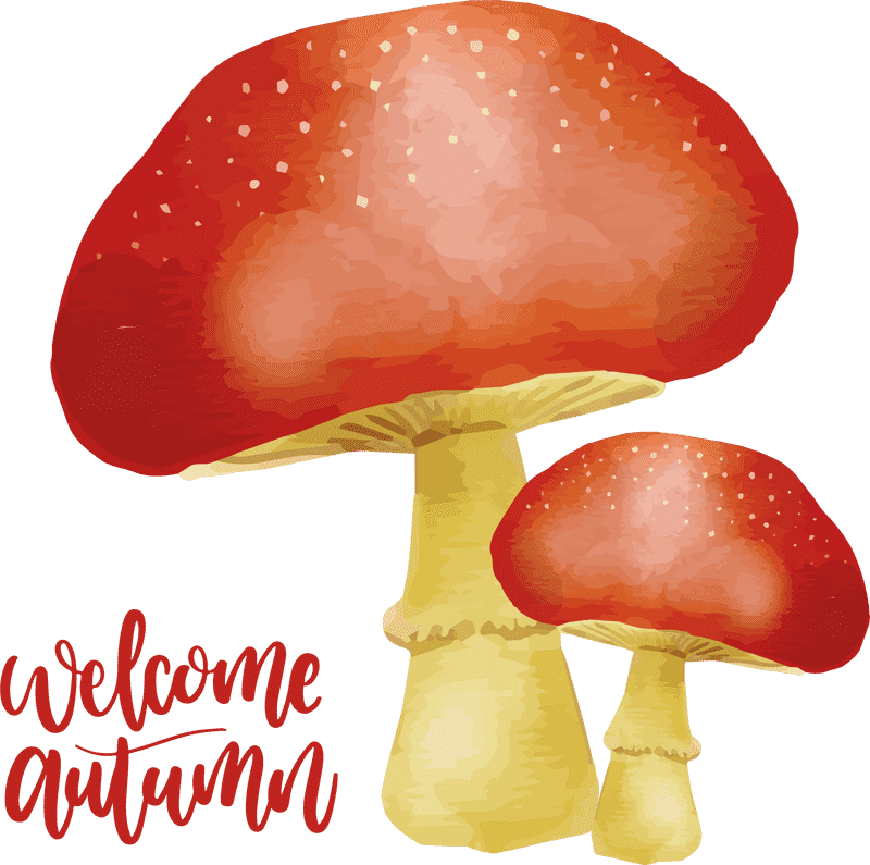 Warm Mushroom Soup for Cozy Autumn Days PNG