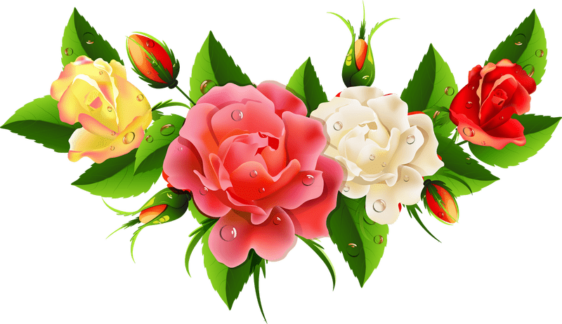 Blooming Flower Symphony of Colors PNG