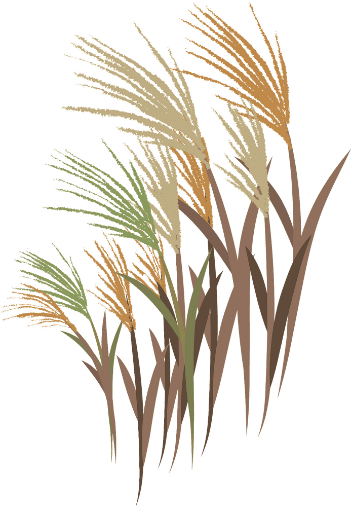 Vibrant Grassland with Golden Tips PNG